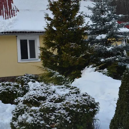 אתר נופש Karpaty Borzhawa