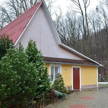 Karpaty Borzhawa * Dovhe