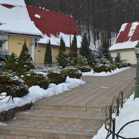 Karpaty Borzhawa Resort Dovhe