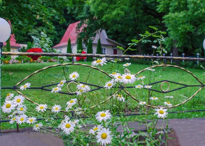 Karpaty Borzhawa