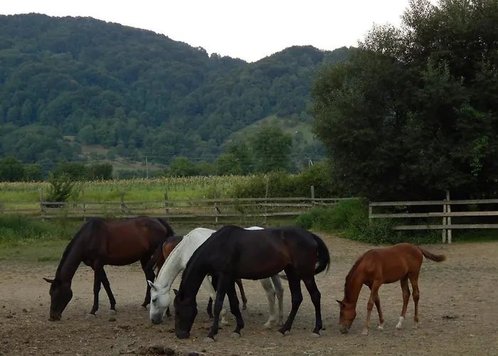 Karpaty Borzhawa