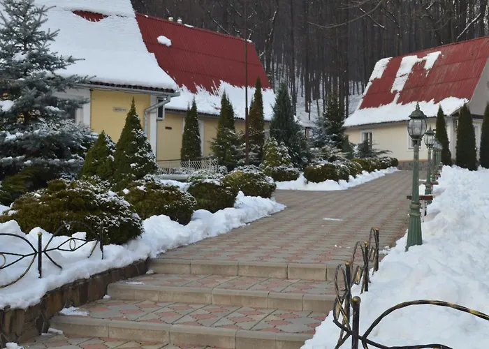 Karpaty Borzhawa Resort Dovhe