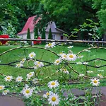 Karpaty Borzhawa