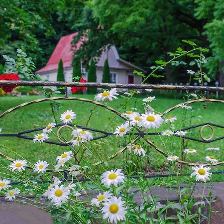 Karpaty Borzhawa