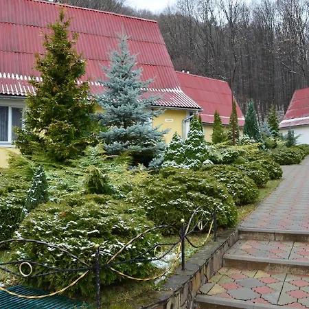 Karpaty Borzhawa Курортный комплекс Dovhe