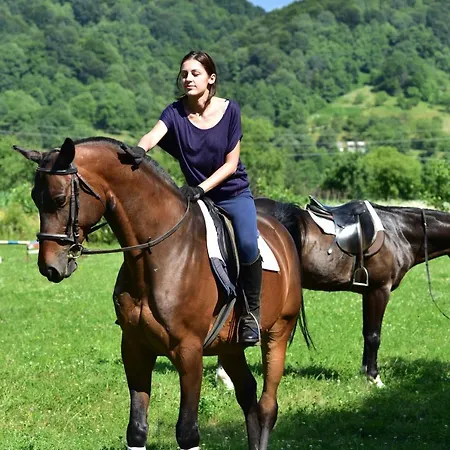 Karpaty Borzhawa * Dovhe