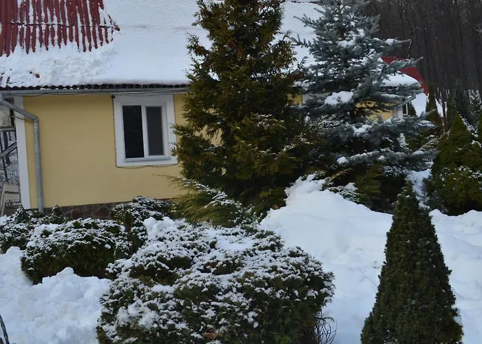 Resort Karpaty Borzhawa