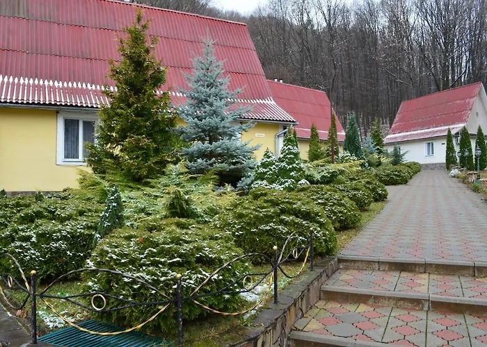 Karpaty Borzhawa Resort Dovhe